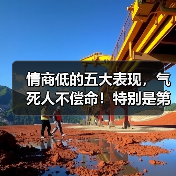情商低的五大表现,气死人不偿命!特别是第三个(图3) 情商低的五大表现,气死人不偿命!特别是第三个(图3)