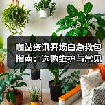 咖站资讯开场白急救包指南：选购维护与常见问题解析