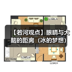 【若河观点】眼睛与大脑的距离(冰的梦想)(图3) 【若河观点】眼睛与大脑的距离(冰的梦想)(图3)