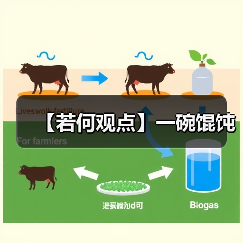 【若何观点】一碗馄饨