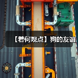 【若何观点】狗的友谊(图2) 【若何观点】狗的友谊(图2)