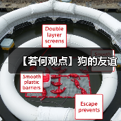 【若何观点】狗的友谊(图3) 【若何观点】狗的友谊(图3)